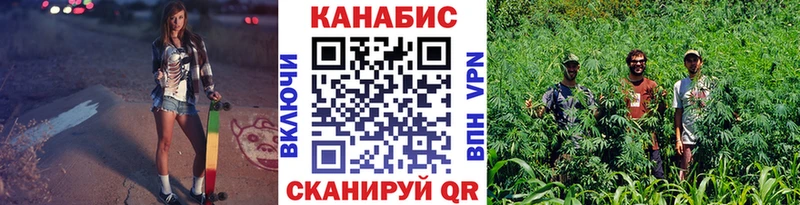 Бошки Шишки Гвардейск