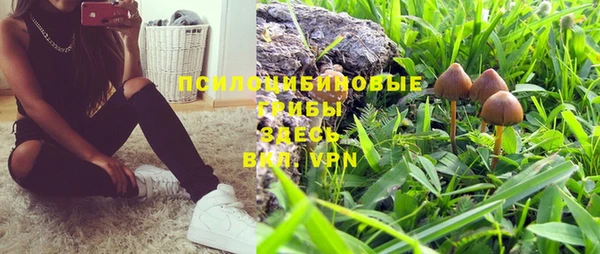 эйфоретик Балахна