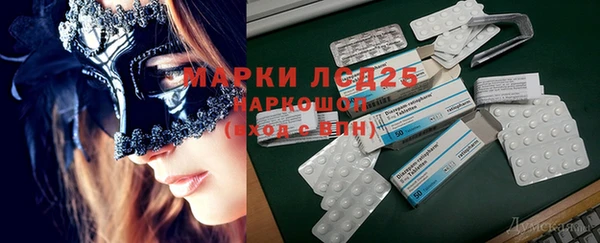ГАЛЛЮЦИНОГЕННЫЕ ГРИБЫ Баксан