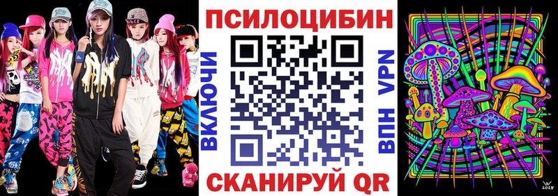 Псилоцибиновые грибы GOLDEN TEACHER  Гвардейск 